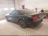 Ford Mustang V6 Deluxe/V6 Premium 1ZVHT80N575277144 fotografie