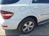 MERCEDES-BENZ ML 350 4JGBB56E29A518066 снимка