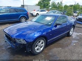 FORD MUSTANG V6 1ZVBP8AM4D5227735 снимка