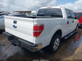 Ford F-150 Xlt 1FTFW1CF5DKD23517 снимка