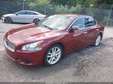 NISSAN MAXIMA 3.5 SV 1N4AA5AP3BC847659 снимка