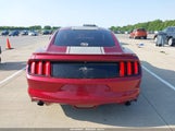 FORD MUSTANG V6 1FA6P8AMXH5226346 снимка