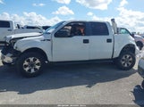 Ford F-150 Xl 1FTEW1CM8DKD93393 снимка
