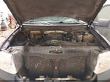 Ford F-150 Fx4/Lariat/Xl/Xlt 1FTPX14V56NB26050 photo