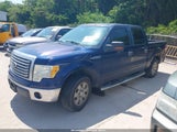 FORD F-150 FX2 SPORT/XL/XLT 1FTEW1C88AFD77444 fotografie