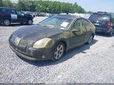 NISSAN MAXIMA SE/SL 1N4BA41E45C831648 снимка