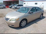 TOYOTA CAMRY HYBRID 4T1BB46K98U058045 photo