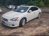 NISSAN MAXIMA 3.5 SV 1N4AA5AP0DC841188 снимка