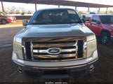 FORD F-150 FX4/HARLEY-DAVIDSON/KING RANCH/LARIAT/PLATINUM/XL/XLT 1FTFW1EVXAFC24250 photo