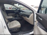 CADILLAC XT4 FWD PREMIUM LUXURY 1GYFZCR49PF225817 photo