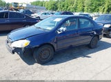 TOYOTA COROLLA LE 2T1BR32E05C337208 снимка