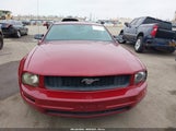 FORD MUSTANG V6 DELUXE/V6 PREMIUM 1ZVHT80N485107892 снимка