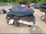 TOYOTA CAMRY LE 4T1B11HK2KU265821 photo