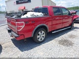Ford F-150 Fx4/Harley-Davidson/King Ranch/Lariat/Platinum/Xl/Xlt 1FTFW1EV2AFD30207 fotografie