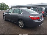 HONDA ACCORD EX 1HGCR2F7XFA216087 снимка