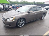 NISSAN MAXIMA 3.5 S/3.5 SV 1N4AA5AP2EC455230 снимка