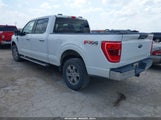 FORD F-150 KING RANCH/LARIAT/PLATINUM/TREMOR/XL/XLT 1FTFW1E82PKD46210 fotografie