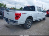 FORD F-150 KING RANCH/LARIAT/PLATINUM/TREMOR/XL/XLT 1FTFW1E82PKD46210 fotografie