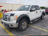 FORD F-150 FX2 SPORT/HARLEY-DAVIDSON/KING RANCH/LARIAT/PLATINUM/XL/XLT 1FTFW1CV7AFC00412 fotografie