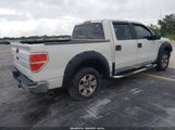 FORD F-150 FX2 SPORT/HARLEY-DAVIDSON/KING RANCH/LARIAT/PLATINUM/XL/XLT 1FTFW1CV7AFC00412 fotografie