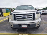 FORD F-150 FX2 SPORT/HARLEY-DAVIDSON/KING RANCH/LARIAT/PLATINUM/XL/XLT 1FTFW1CV7AFC00412 fotografie
