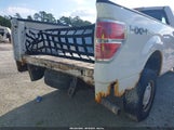 FORD F-150 XL 1FTMF1EM8EKF10898 снимка