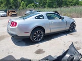 FORD MUSTANG V6 PREMIUM 1ZVBP8AM5B5166487 снимка