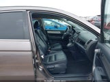 HONDA CR-V EX-L 5J6RE4H77BL055607 снимка
