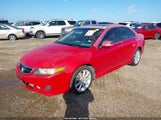 ACURA TSX JH4CL96896C019447 снимка