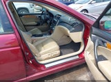 ACURA TL 19UUA66295A052224 снимка