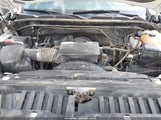 GMC SIERRA 2500HD 2WD STANDARD BED PRO 1GT18LE79PF209376 fotografie
