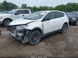 TOYOTA RAV4 LE JTMBFREV5JJ250751 снимка