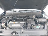 HONDA CR-V LX SHSRD68566U408231 снимка