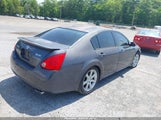 NISSAN MAXIMA 3.5 SE 1N4BA41E17C863654 снимка