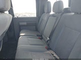 FORD F-350 XLT 1FT8W3BT5FEA77274 снимка