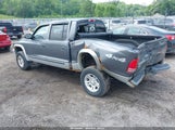 DODGE DAKOTA SLT 1D7HG48N64S536022 снимка