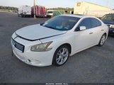 NISSAN MAXIMA 3.5 S 1N4AA5AP9CC805076 fotografie