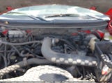 FORD F-150 FX4/LARIAT/XL/XLT 1FTPX14V08FB99470 photo