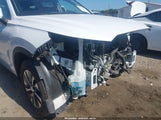 HYUNDAI PALISADE SEL KM8R24HE9LU051546 снимка