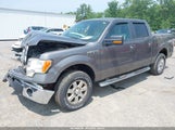FORD F-150 XLT 1FTFW1EF4EFA40162 снимка