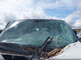 CHEVROLET EXPRESS 2500 WORK VAN 1GCWGAFG7K1372805 снимка
