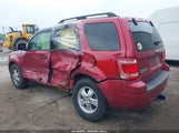 FORD ESCAPE XLT 1FMCU93138KD90369 снимка