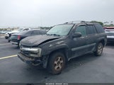 CHEVROLET TRAILBLAZER LS 1GNDS13S852172388 снимка