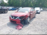 NISSAN ALTIMA 3.5 SL 1N4BL3AP3GC142130 fotografie