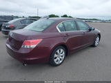 Honda Accord 2.4 Ex-L 1HGCP2F89AA164796 снимка