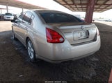 NISSAN MAXIMA 3.5 SE 1N4BA41E55C873827 снимка