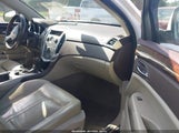 CADILLAC SRX PERFORMANCE COLLECTION 3GYFNBEY0BS546857 снимка