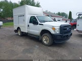 FORD SUPER DUTY F-250 SRW XL 1FDBF2B60GED17578 fotografie