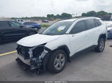 TOYOTA RAV4 XLE 2T3W1RFV7RC266656 снимка