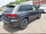 JEEP GRAND CHEROKEE TRAILHAWK 4X4 1C4RJFLG1MC707189 fotografie